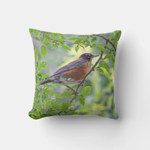 Almofada Robin Bird Americano nas Folhas Verdes em Árvore