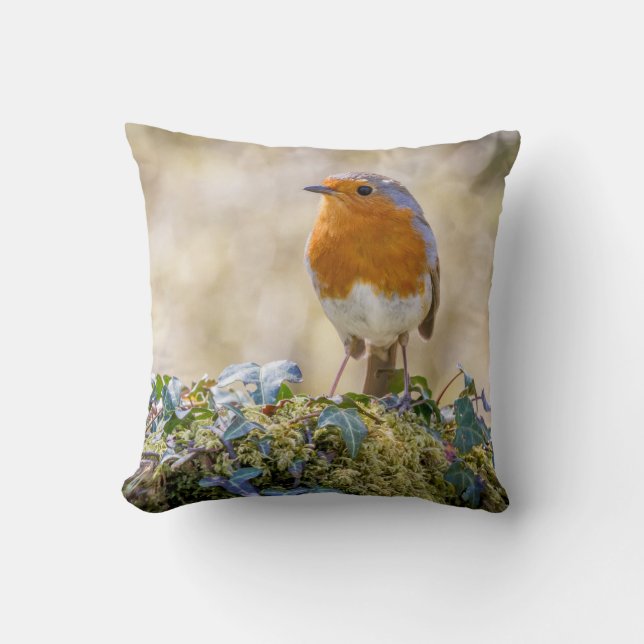 Almofada Robin Cushion com duas belas fotografias (Frente)