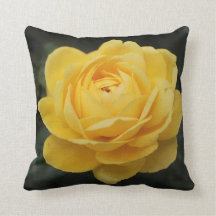 Rosa amarelo bonito