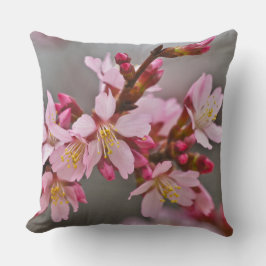 Almofada Rosa Contra Um Céu Cinza Flor de Cerejeira Japones