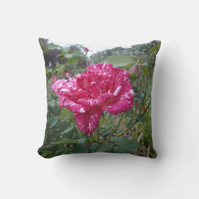 Almofada Rosa, Cushion, De Cor Rosa Elegante E Branco (Frente)