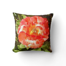 Rosa ensolarado.......