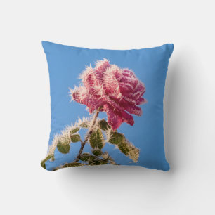 Almofada Rosa rosa com gelo gelado numa natureza fria de in