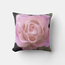 Rosa rosa magnífica