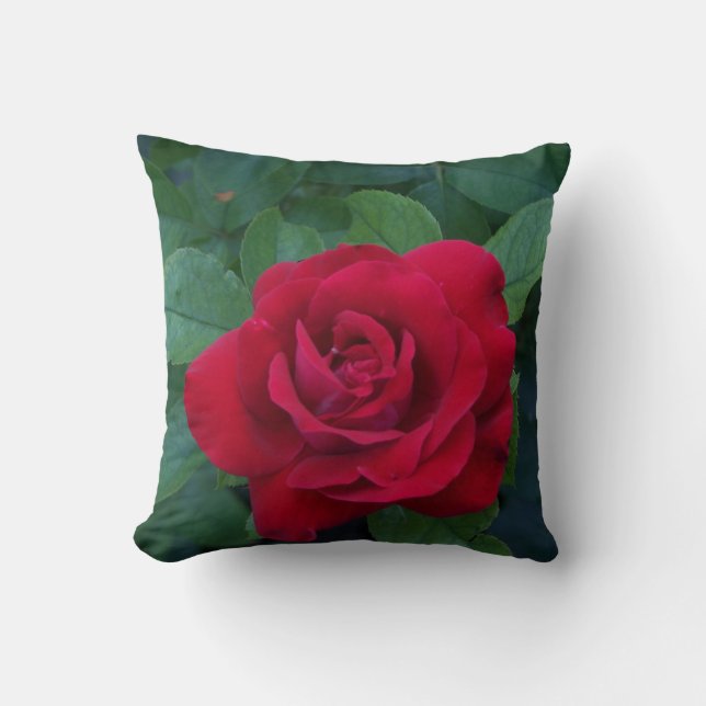 Almofada Rosa Vermelha de Perto (Frente)