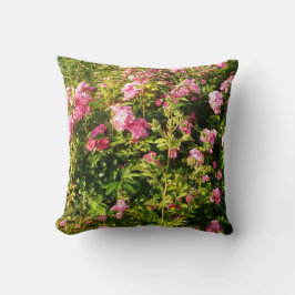 Almofada Rosas Cor-de-Rosa em flor