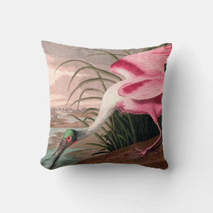 Almofada Roseate Spoonbill Audubon Bird Willife