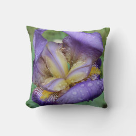 Almofada Roxo Iris (Iris Germanica)