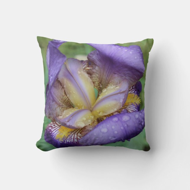 Almofada Roxo Iris (Iris Germanica) (Frente)