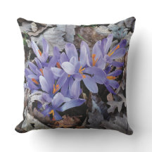 Roxo Lilás Flor de Montanha Crocus