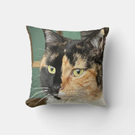 Almofada Ruby, Tortie e White, de seis anos