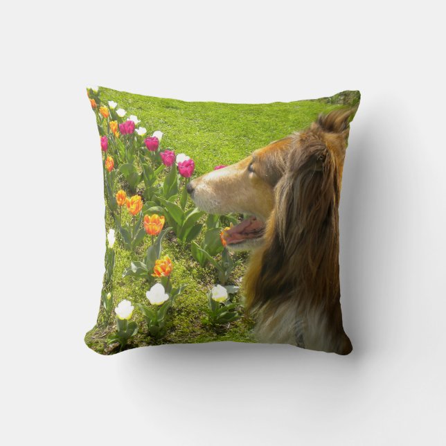 Almofada Sable Rough Collie e Tulipas (Frente)