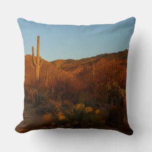 Almofada Saguaro Sunset I Arizona Desert Landscape