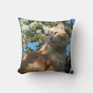 Almofada Sahara Cat Em Uma Árvore II - Travesseiro decorati