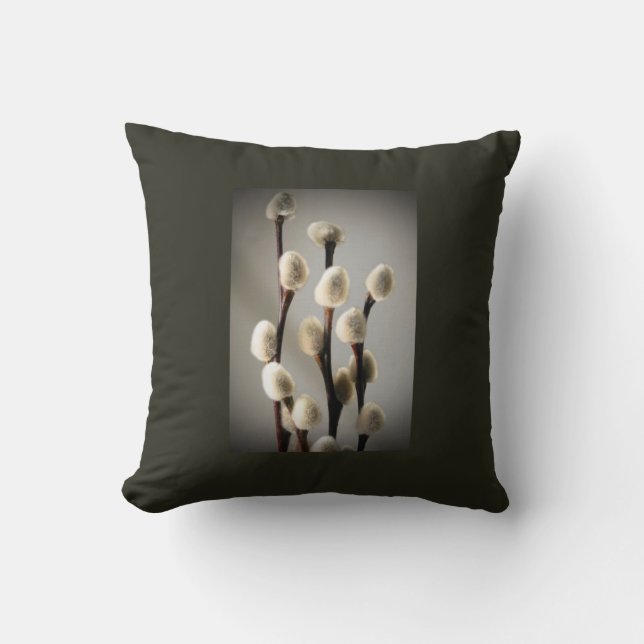 Almofada Salgueiros de bichano (Frente)