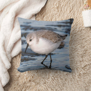 Almofada Sanderling Cute na praia de inverno