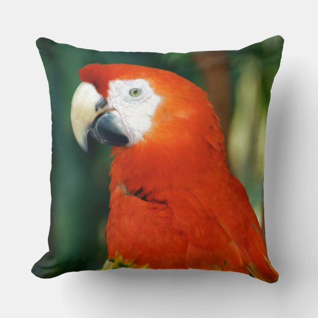 Almofada Scarlet Macaw (Frente)