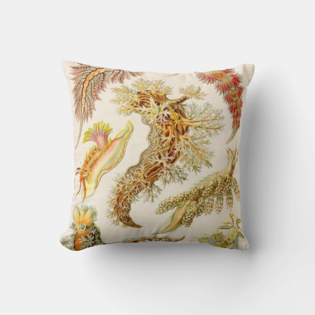 Almofada Sea Slug - Ernst Haeckel (Frente)