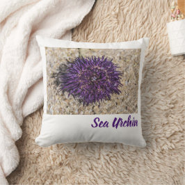 Almofada Sea Urchin Ocean Beach Holiday Summer Souvenir