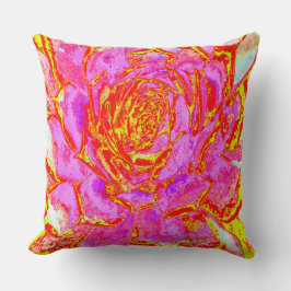 Almofada Sedum Rosette Quente Rosa, Vermelho e Amarelo Sucu