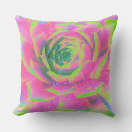 Almofada Sedum Rosette verde limão e Suculente Rosa