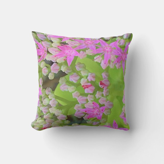 Almofada Sedum Suculto Rosa Quente com Folhas Verdes Inchad (Frente)