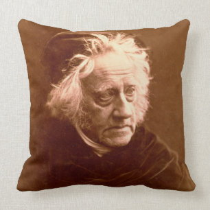 Almofada Senhor John Frederick William Herschel (1792-1871)