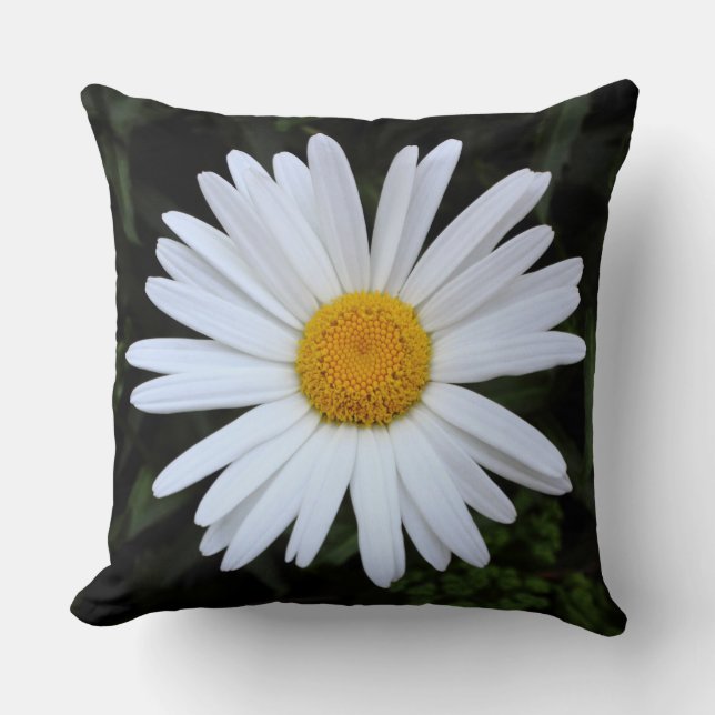 Almofada Shasta Daisy 04 (Frente)
