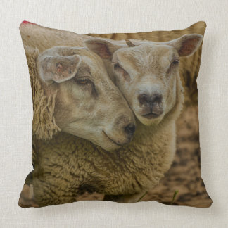 Almofada sheep