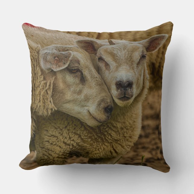 Almofada sheep (Frente)