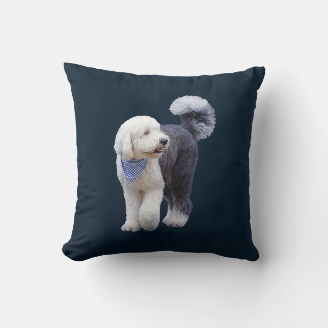 Almofada Sheepadoodle Com Cachecol Xadrez Azul (Frente)