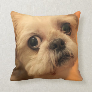 Almofada Shihtzu