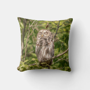 Almofada Sleepy Barred Owl