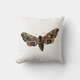 Almofada Smerinthus ocellata - Olhos Hawk-Moth - Imagem a c