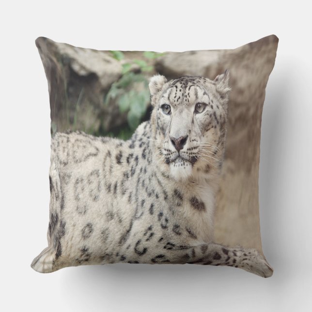 Almofada Snow Lepard (Frente)