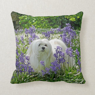 Almofada Snowdrop o travesseiro/coxim malteses