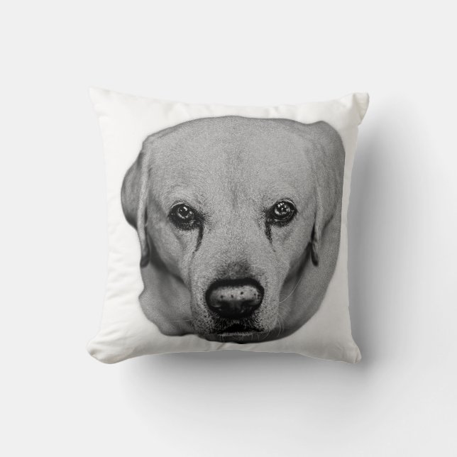 Almofada Sofa Guardian, Soft Gaze (Frente)