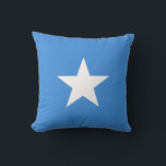 Almofada Somalia Flag<br><div class="desc">Patriotic flag of Somalia.</div>