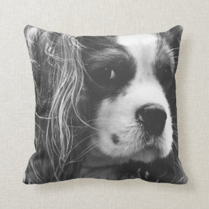 Almofada Spaniel de rei Charles descuidado