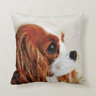 Almofada Spaniel de rei Charles descuidado