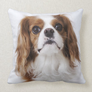 Almofada Spaniel de rei Charles descuidado que senta-se no