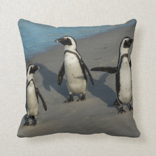 Almofada Spheniscus africano Demersus dos pinguins  