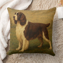 Springer Spaniel Inglês