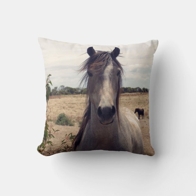 Almofada Star_The_Horse,_ (Frente)