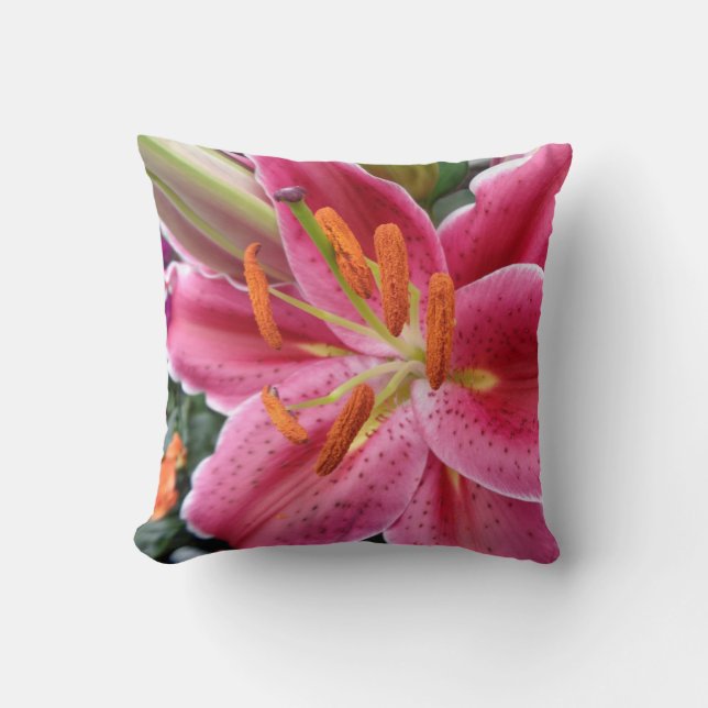Almofada Stargazer (Frente)