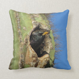 Almofada Starling em Saguaro Cactus Foto do Pássaro Sudoest