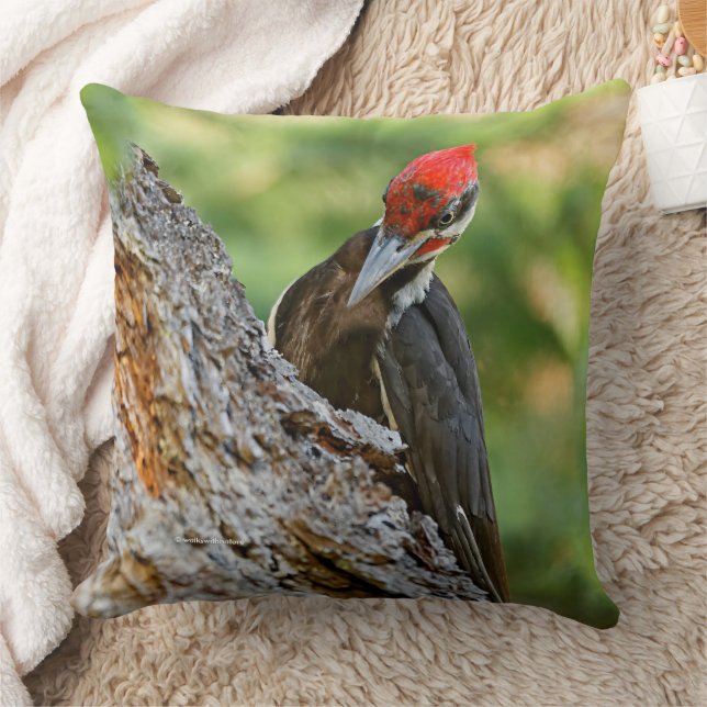 Almofada Stunning Portrait of Pileated Woodpecker in Tree (Cobertor)