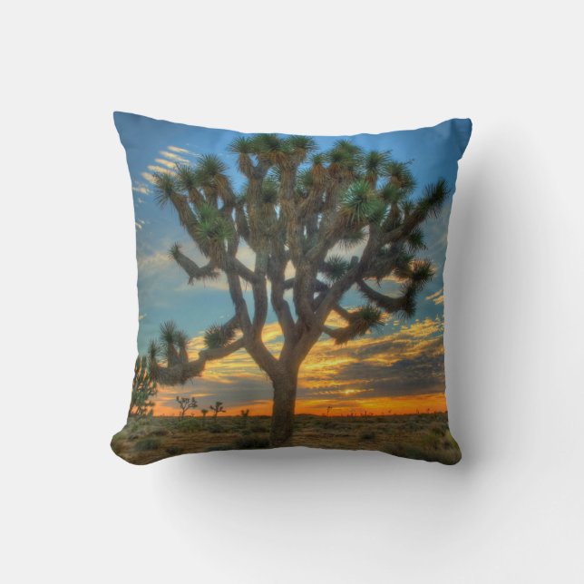 Almofada Sunrise No Parque Nacional Joshua Tree (Frente)