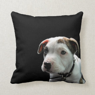 Almofada T-Osso do pitbull do filhote de cachorro