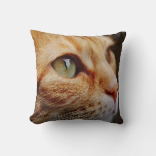 Almofada Tabby Laranja com Olhos Verdes Personalizados